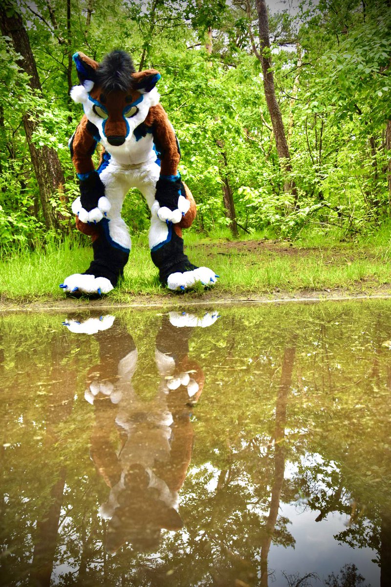 Happy fursuit Friday ! Here you see a dumb husky look at I self 
📷 <a href="/IceMintje/">Ice_Mintje❄🌿</a>