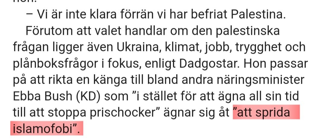 Vänsterpartiet är ute och fredligt protesterar mot de riktiga problemet. Islamofobi och Ebba Bush.