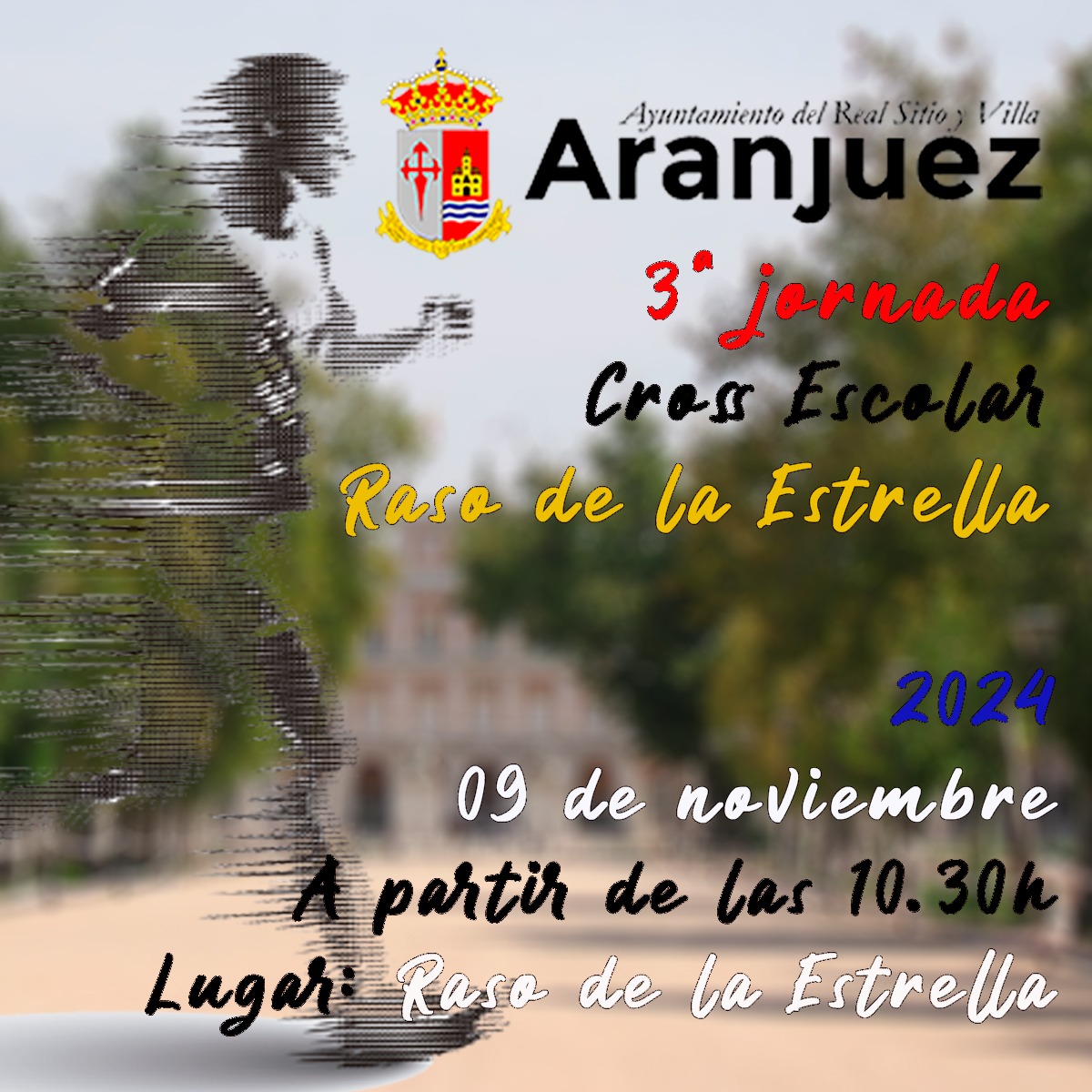 Deporte Aranjuez tweet media