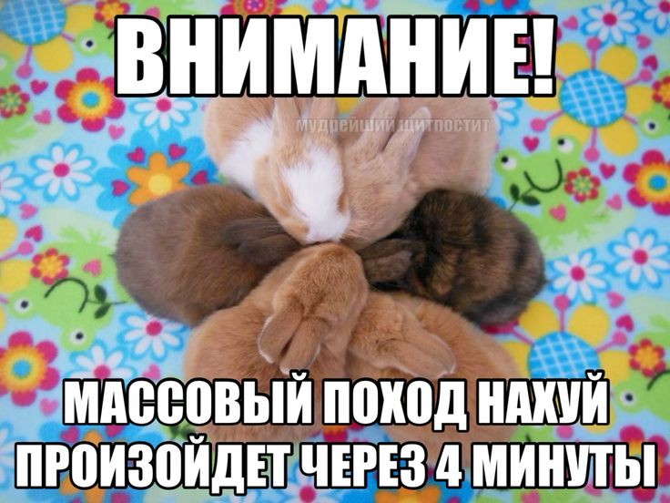 джинса tweet media