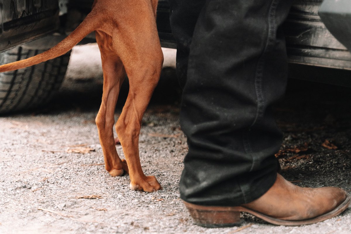 Mr Shot Cheese™ 🧀 tweet media