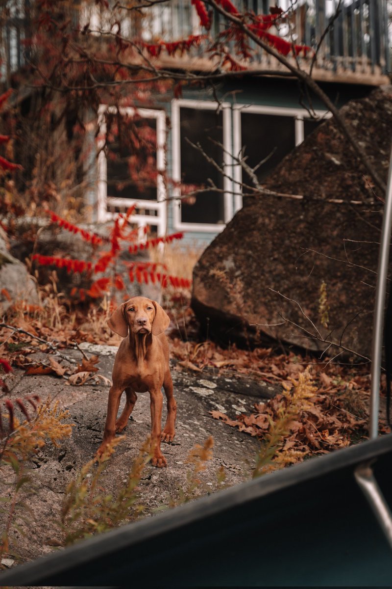 This shoot turned out SO good.