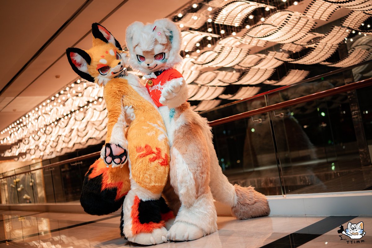 GaoGaofurry's tweet image. 来一起玩嘛~
🦁 @YuLong_QWQ 🦁
📷 @TTimm00445711 💛
#FursuitFriday #GaoGao #FURRY