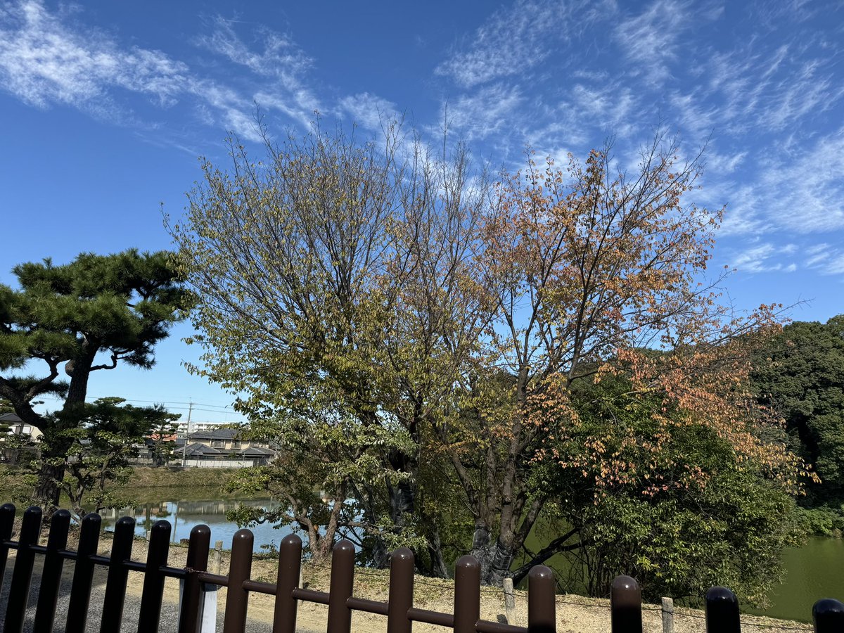 11月8日
昨日よりも暖かい☀️
太陽のパワーってすごいね

空気は冷たいけど、風もなく、いい気持ち！

明日11月9日はお休みです。