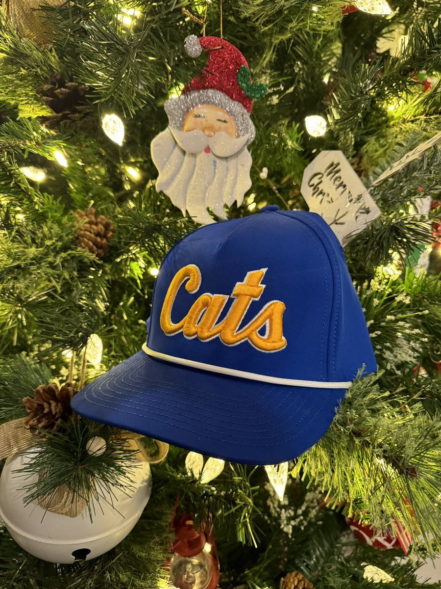 SweetTeesSW's tweet image. New hats alert! It’s not too early to start Christmas shopping!
• Blue Script Cats - $25 (snapback)
     🏷️ $20 if you also buy one of the other hats
• All others are $20 each 
    👱‍♀️Check out the ladies ponytail cap (tan script Cats)