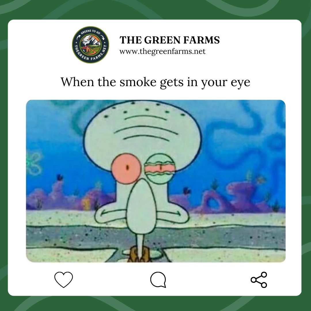 the_green_farms's tweet photo. That face you make when the wind isn’t in your favor. 💨👁
#thegreenfarms #canadawideshipping #BCfarms #weedlovers #cannabisclub #cannabisindustry #cannabiscommunity #cannabisculture #weed #weedmob #420friendly #stonerfam #420fam #ouieed #Mmemberville https://t.co/Sdjh9HVtR5