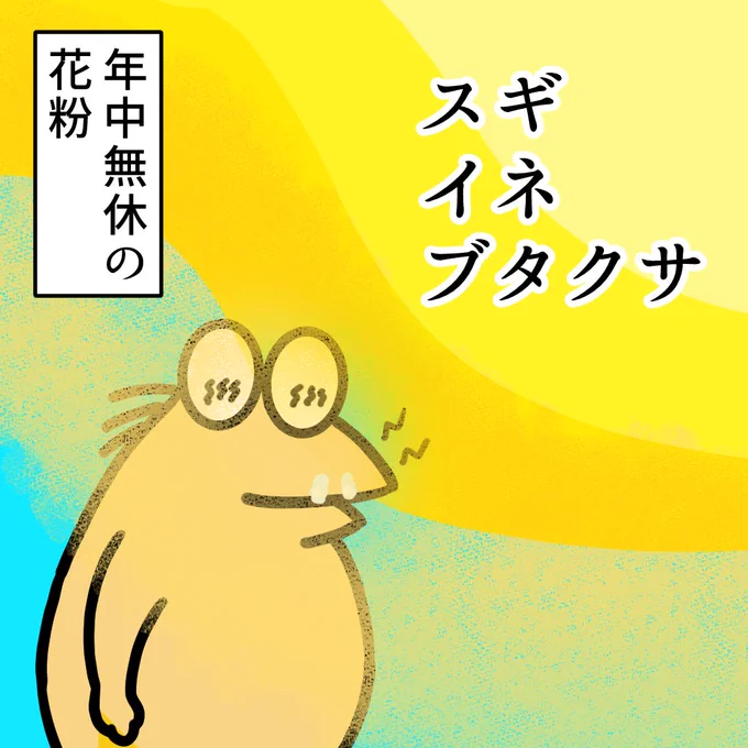 調子が悪いのに風邪ではなさそうなときは花粉症かも
天気が晴れて過ごしやすい気候になったとおもったら花粉飛んでる

ブタクサってなんだ?
#花粉症 #イラスト 
