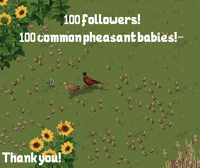 CrepuscularFluf's tweet photo. Whoa we already have more than 100 followers bluesky!
Welcome everyone 🎉🎉🎉Please do follow us over there too if it's more convenient :)

Obviously the best way to celebrate 100 followers is share this picture FILLED with common pheasant chicks ^^ https://t.co/jw9g1XYMbF