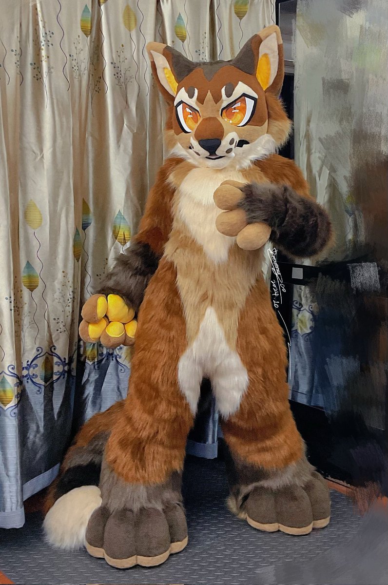 坏水干部菌师傅 tweet media