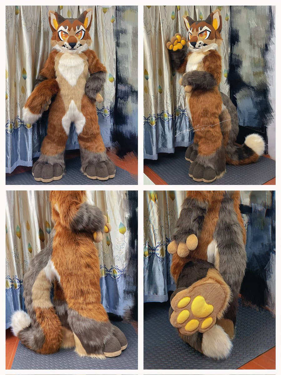 坏水干部菌师傅 tweet media