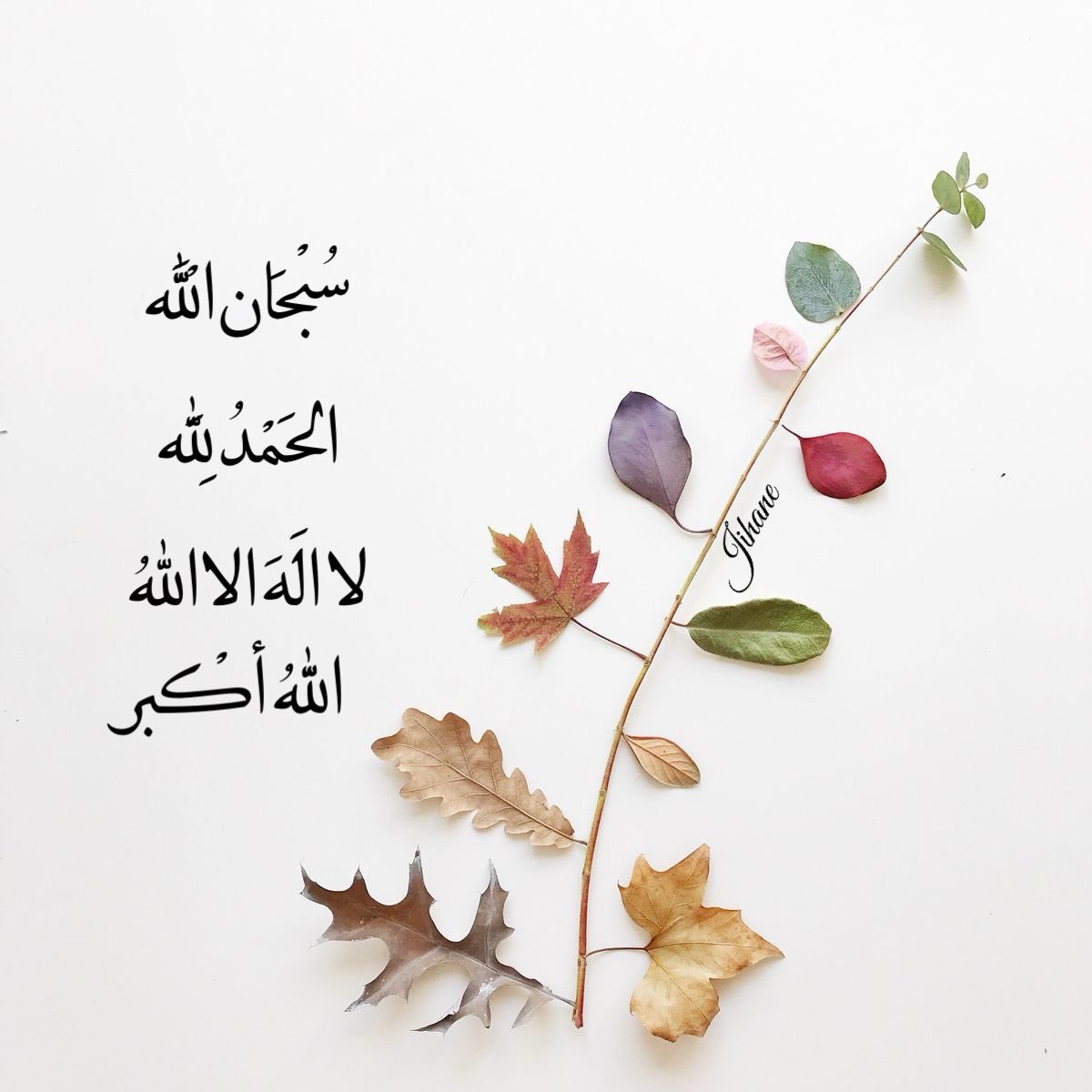 الباقيات الصالحات 🤍🤍🤍🤍