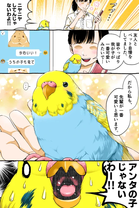 我が子。
--
「いじわる先輩、インコになった!? by初丸うげべそ @ugebes0 」 #ヤメコミ #インコ #4コマ漫画
▼初丸うげべそさんの過去作品
https://t.co/wEPGt8QyYP 