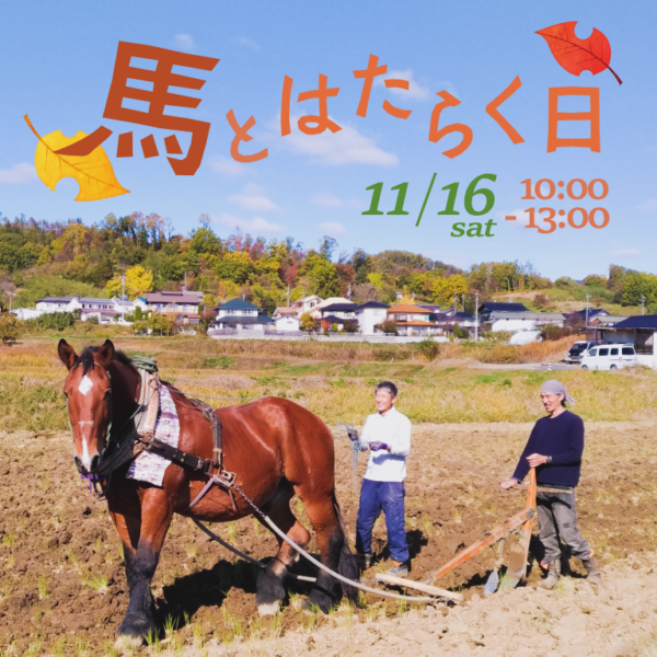 yanarin1964's tweet photo. 【サイトの「やなりんブログ」更新！】 11/16「馬とはたらく日」馬耕体験イベント https://t.co/g1PRCydakK https://t.co/ftvDkbPiZk