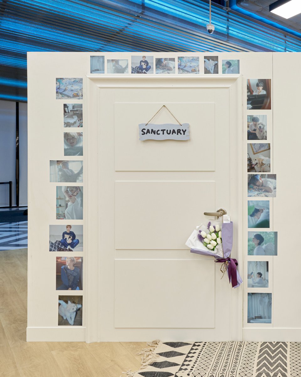 SANCTUARY_POPUP's tweet photo. https://t.co/7YyxJtMZIa