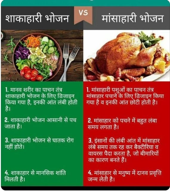 शाकाहारी भोजन खाए और जीवो पर दया दिखाते हुए आज ही मांसाहार का त्याग करे।
दोनों प्रकार के भोजन के अंतर को दी गई तस्वीर में समझ सकते हो।
#PowerOfVeg #FridayFitness