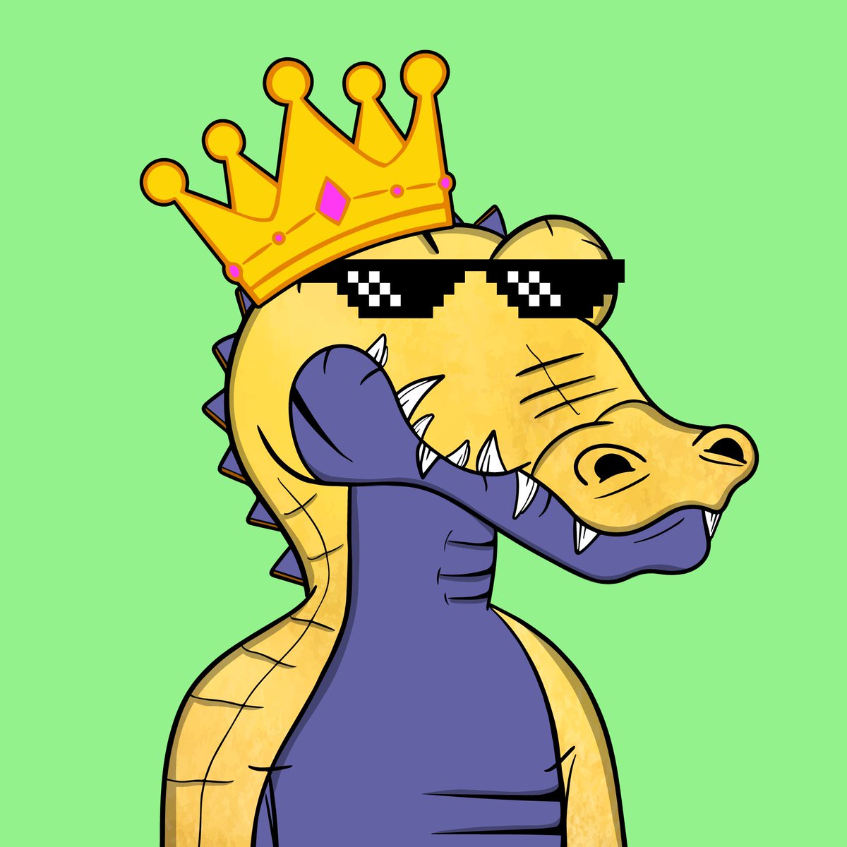 1CardanoKing's tweet photo. @CryptoCrocsClub #CrocsClub https://t.co/3yrcerfKPH