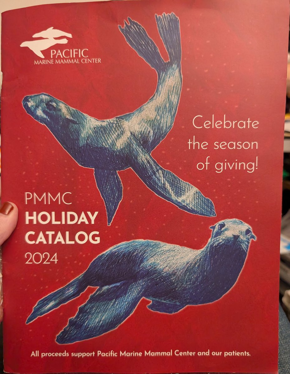 Monica S. tweet media