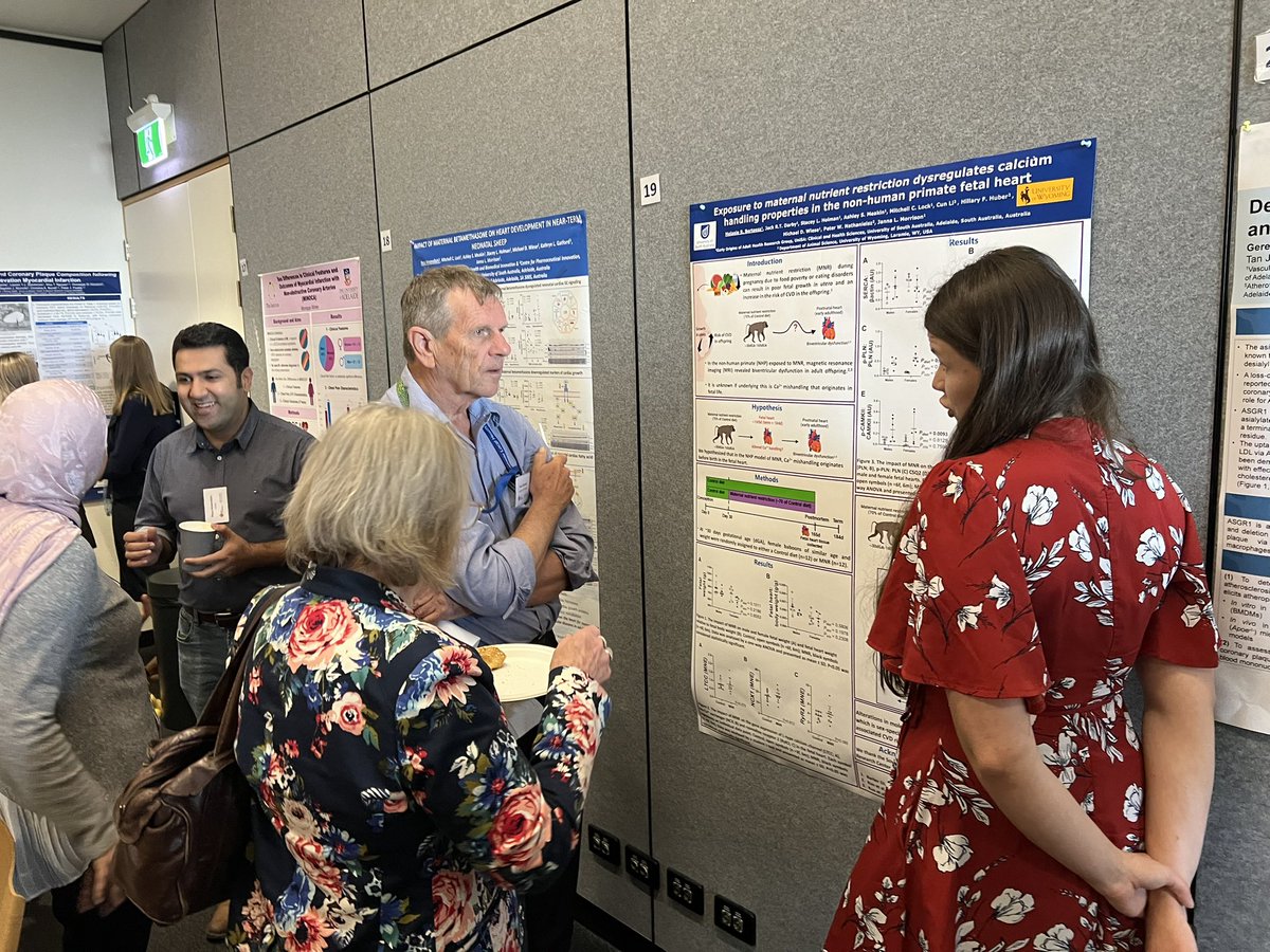 SACVRN's tweet image. Great to see the interactions during lunch! #sacvrnshowcase2024