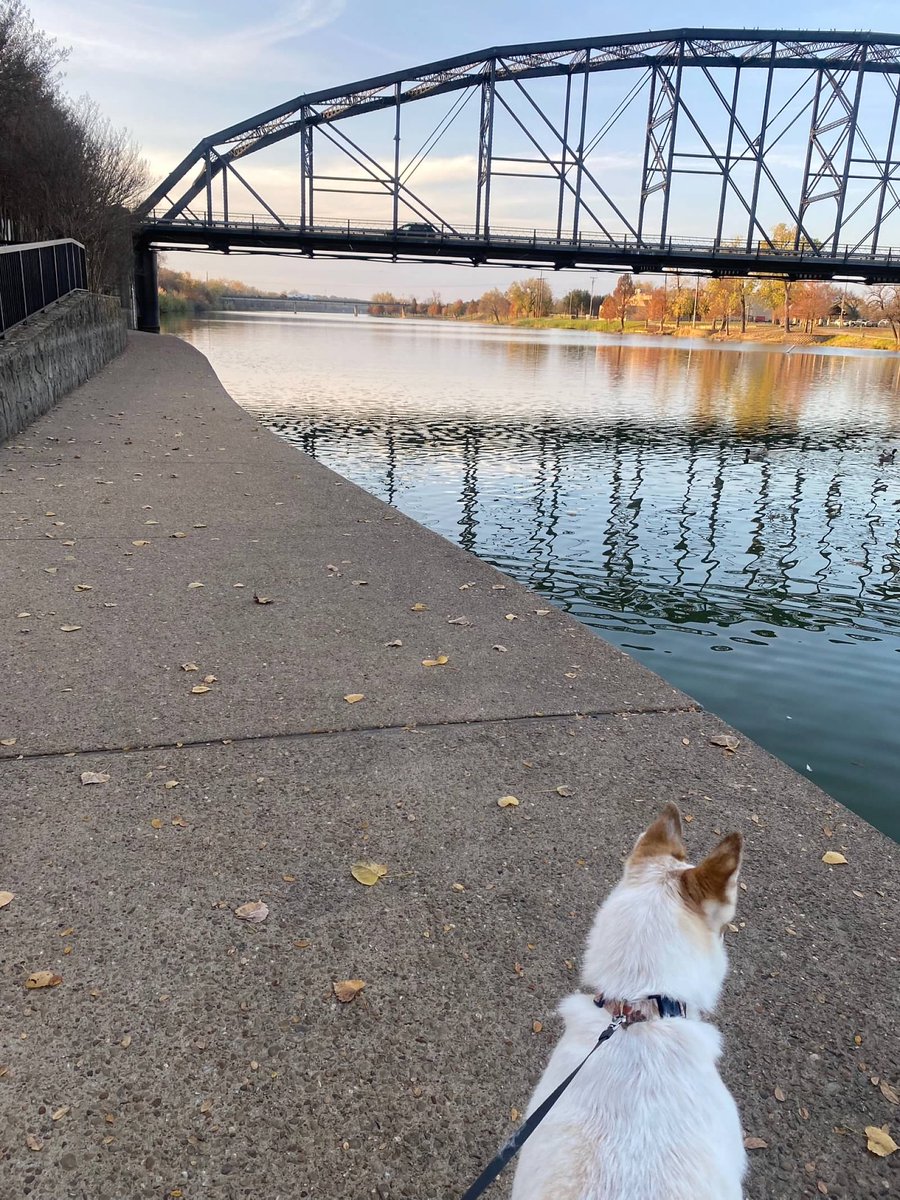 I just realized I’ve now lived in Waco longer than any place else since high school. (Just passed three years!) What a beautiful place to plant some roots 🥰