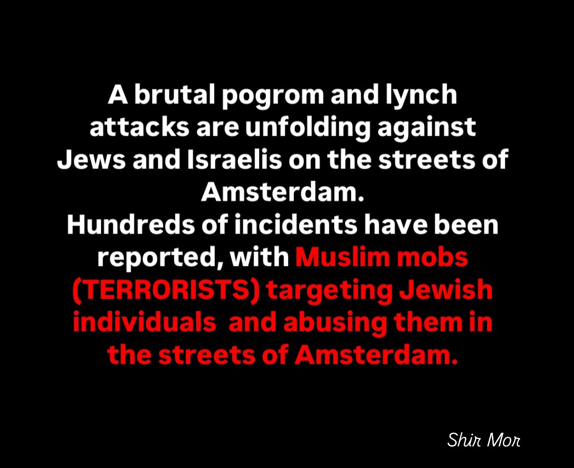 shir mor | شير مور | שיר מור tweet media