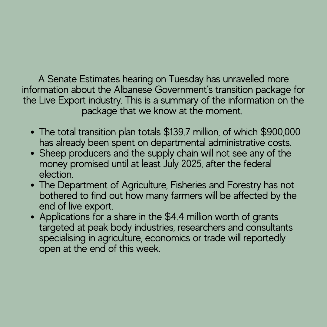 AGformau's tweet photo. The affects of the live export ban are being felt now, yet the government won't give a cent to those most affected until at least July 2025.
#AGform #AGformAU https://t.co/jeXIK3GqPK