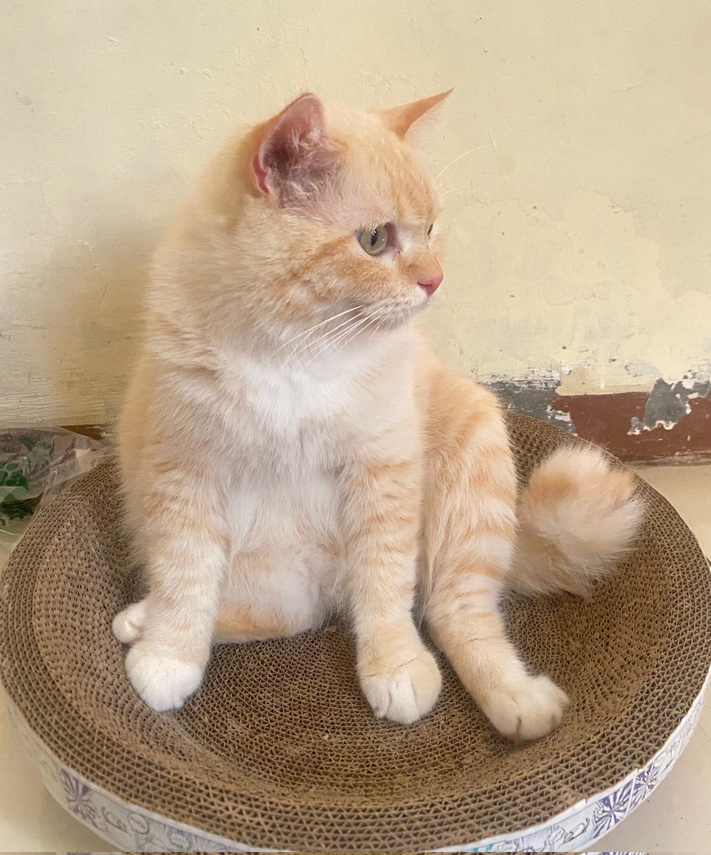 Duduk dluk sblm jumatan