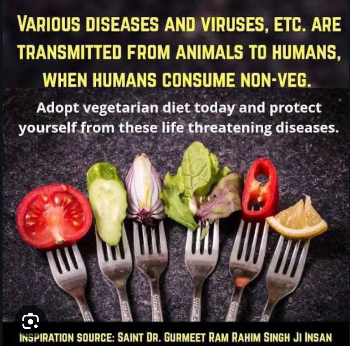 77mehakarora's tweet photo. शरीर को स्वस्थ बनाएं, शाकाहार को अपनाएं।
True strength lies in nourishing body and soul with pure choices. Inspired by Saint Dr MSG, embrace the #PowerOfVeg to fuel health, compassion, and inner peace. Let’s make every step a leap towards lasting fitness! #FridayFitness https://t.co/8F07hHvZ1O