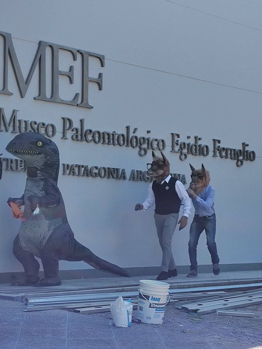 Laura70429018's tweet photo. Lo mejor de Trelew, son estos grandes
 el Dino y los Guanacos, ultimando detalles en el Museo Paleantologico Egidio Feruglio 🦕🦖 🤭
#Mef
#Trelew
#dinosaurio
#Guanacos https://t.co/uiIkdcxA3z