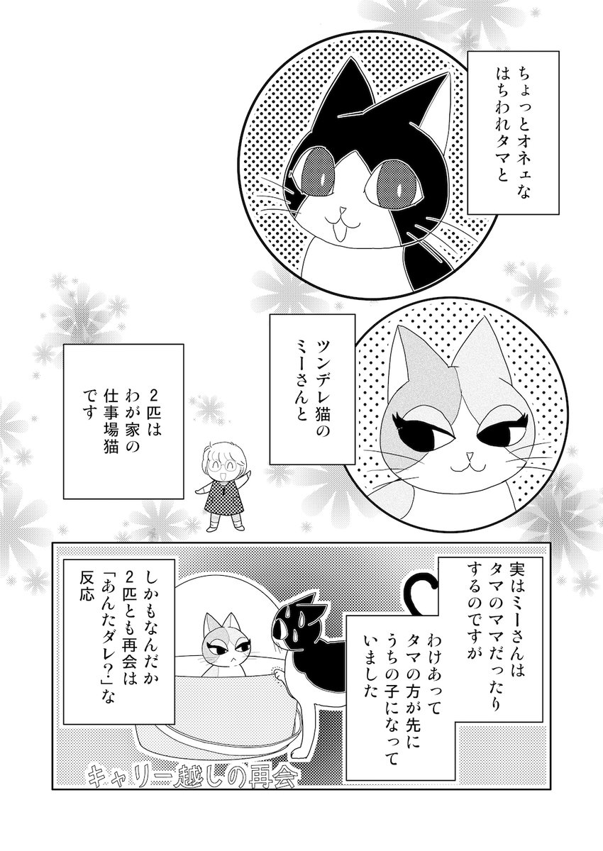 猫生活は育児期を思い出すこと多いです。同時に「かわいいしたたかさ」を教わることも(笑)
1/2
 #タマたま猫生活 #猫のいる暮らし 