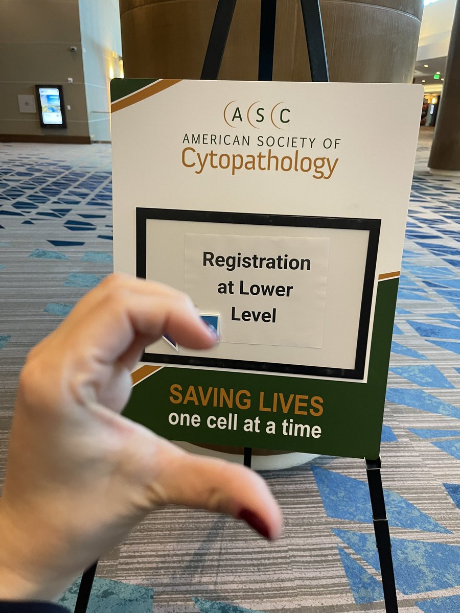 Fernanda Mitchell tweet media