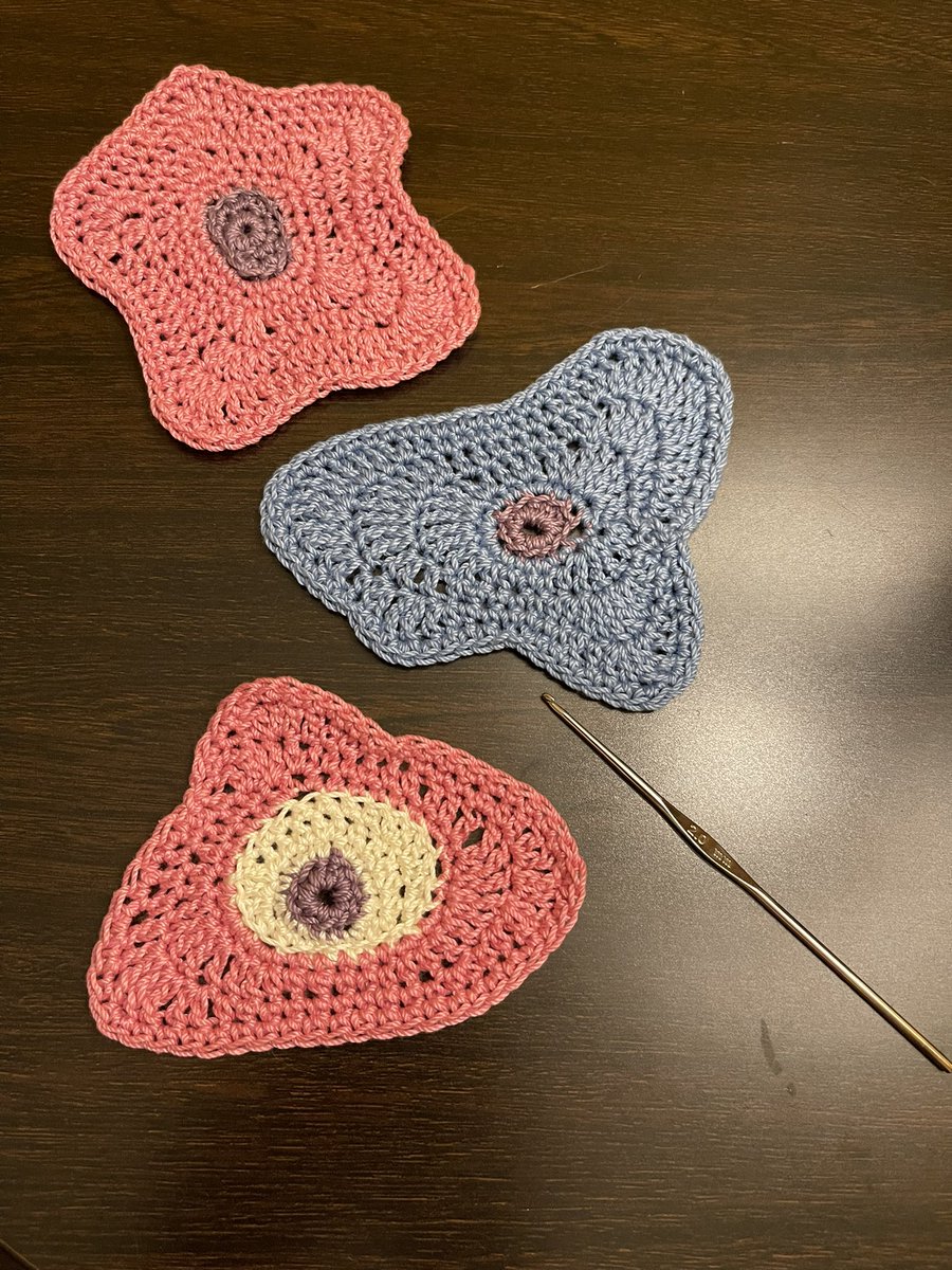 Fernanda Mitchell tweet media