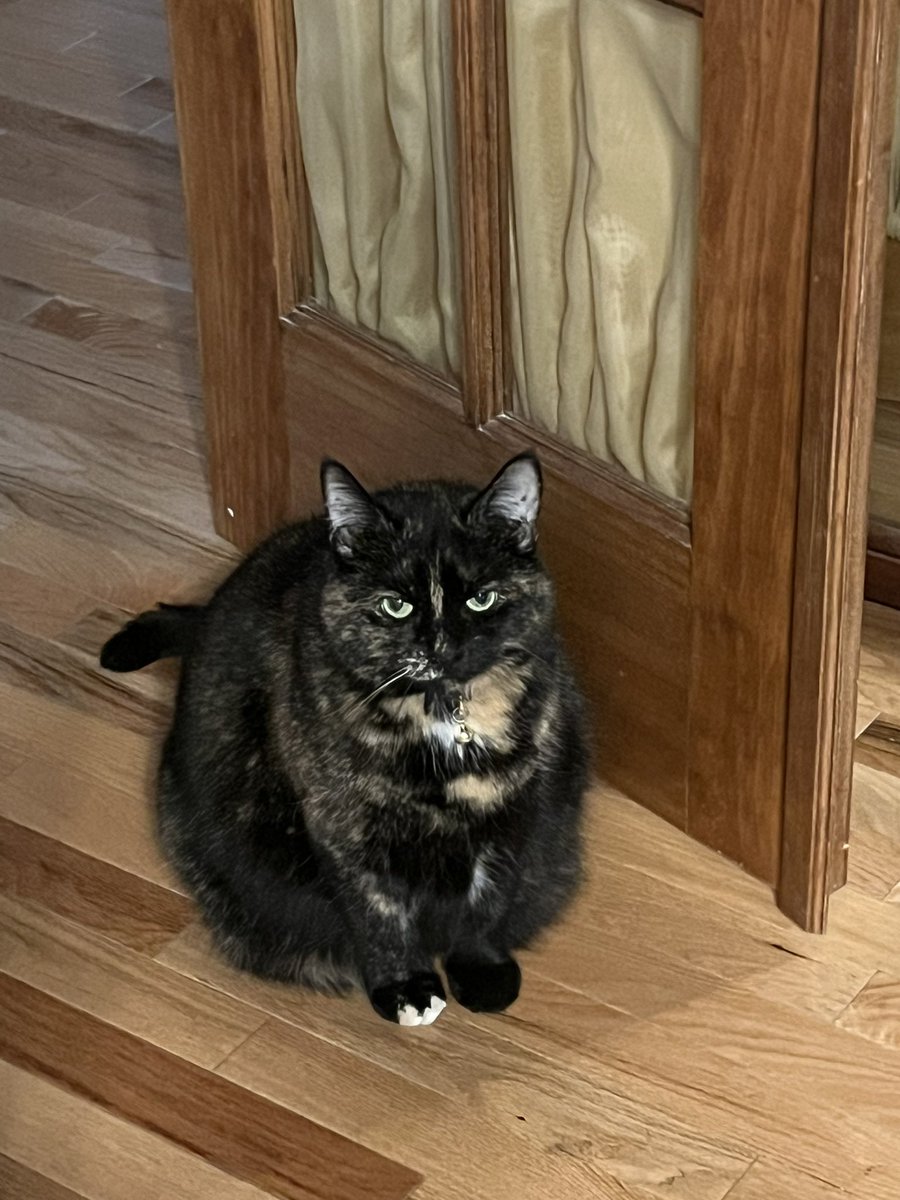 Susan WK tweet media