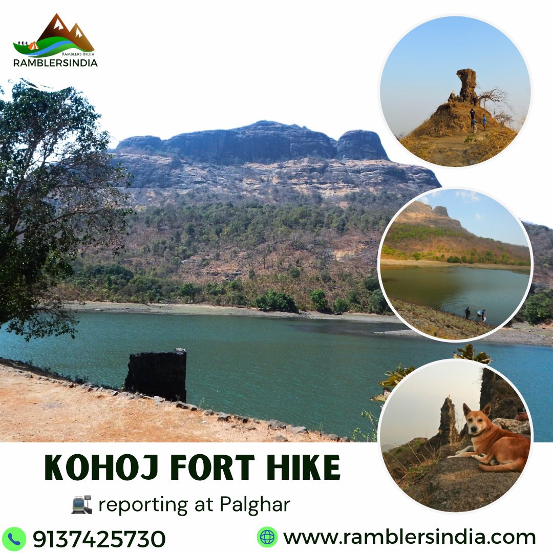 ramblersindia's tweet photo. Kohoj fort hike 
🚉 Reporting at Palghar Railway station

🗓️10 Nov 2024, 7:45 am – 6:30 pm

📢Please refer to the link below for details &amp; booking
👇
https://t.co/RsZnO635ff

📞 9137425730 

 #mumbai #hiking   #sahyadriforts #borivali  #kohoj #hikingcommunity #ramblersindia https://t.co/d4O511whNo