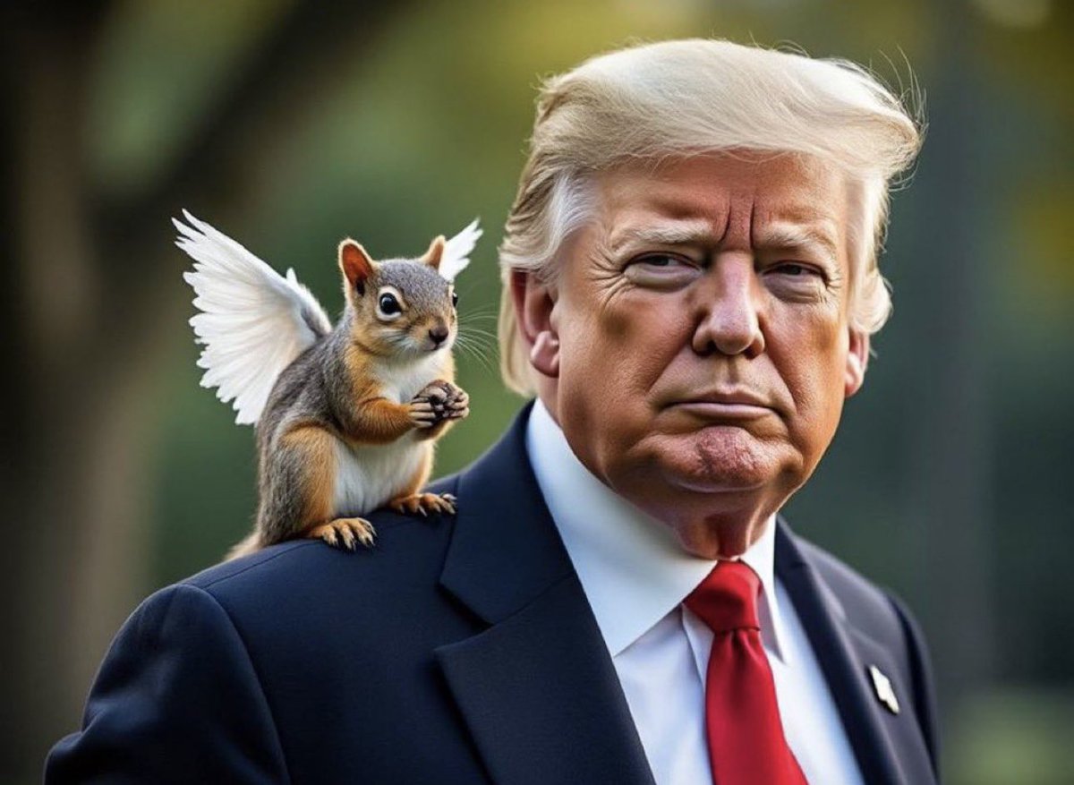 If you're in $PNUT, raid this tweet.