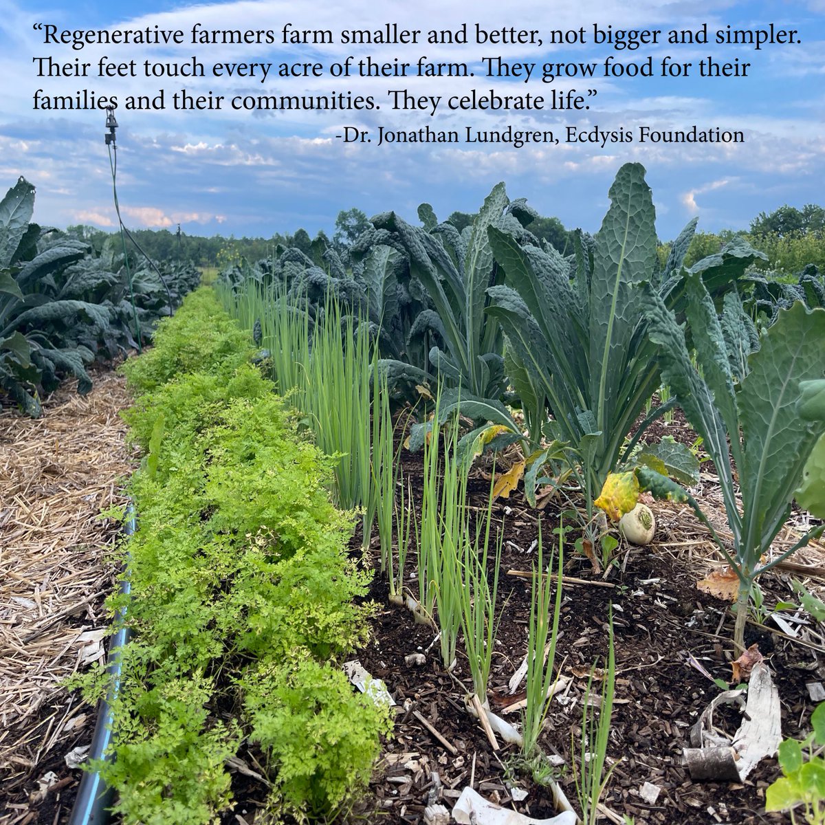 Regenerative farmers celebrate life on their farm, and grow food for their families and communities.