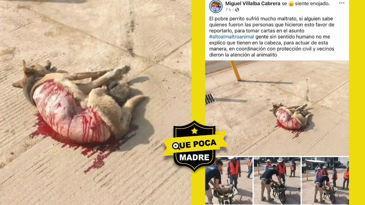Qué Poca Madre tweet media