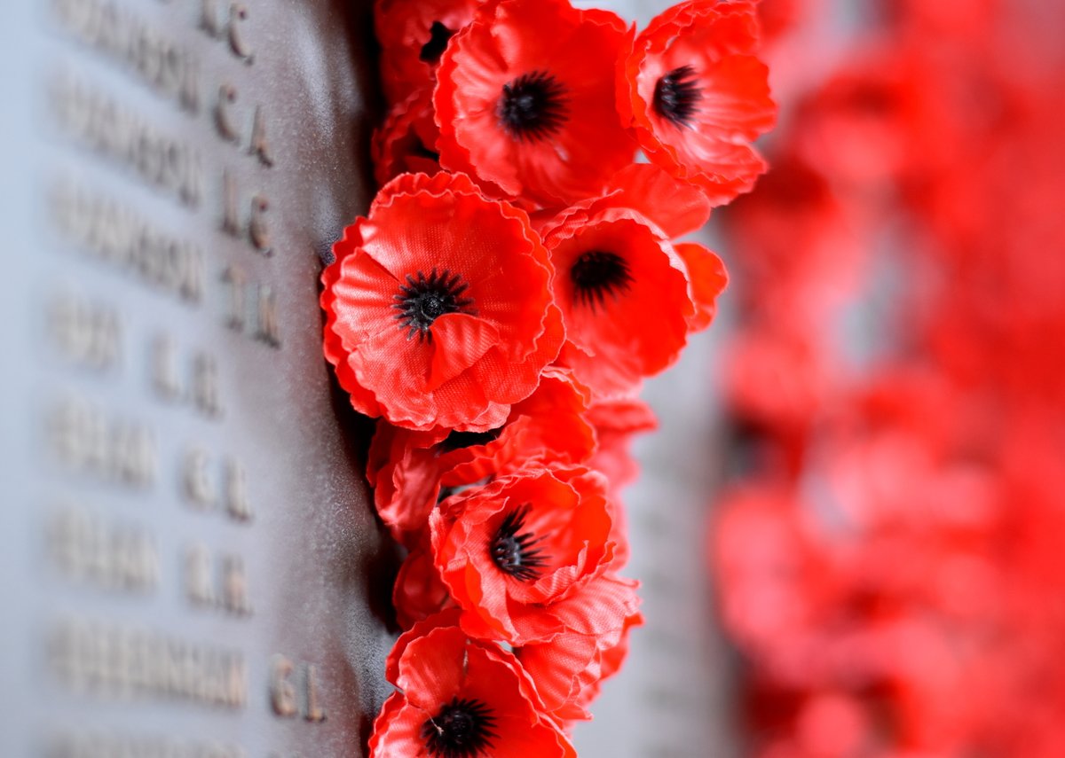 LangleyCity_'s tweet photo. We invite you to join us as we come together on Nov 11 at 10:50 AM at Douglas Park for Remembrance Day as we pay tribute to the brave souls of Canada’s military.
If you’d like to lay a wreath, contact events@langleycity.ca or 604.514.2902 by Nov 8.
#LCRemembers #RememberInPlace https://t.co/34HOCqXOQB