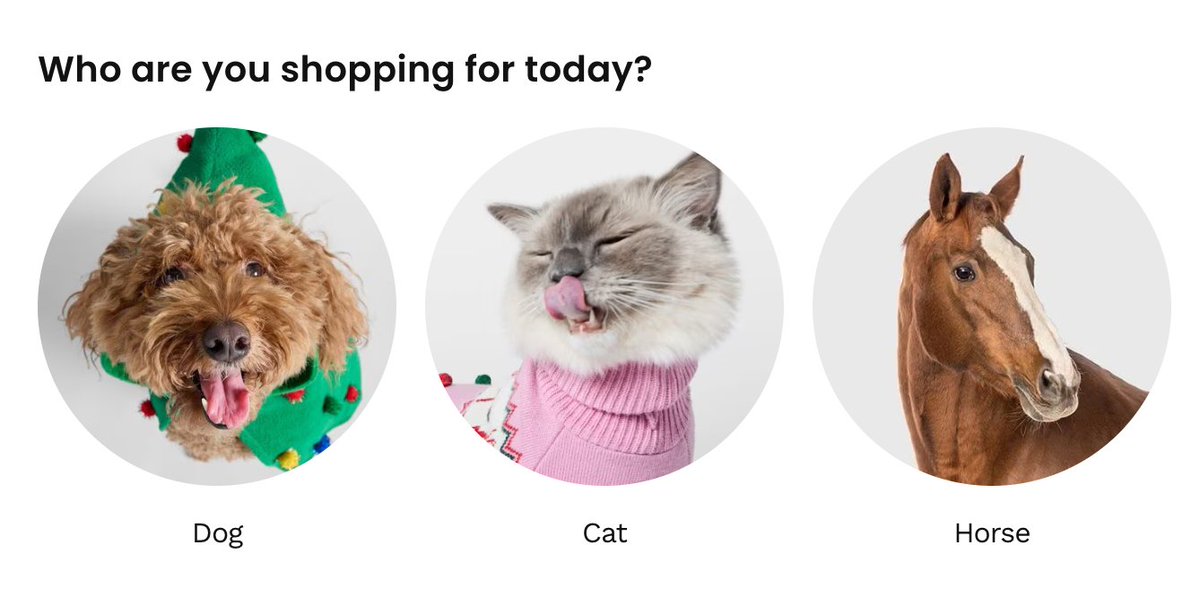 thatsthemax's tweet image. who the hell is shopping for a horse on chewy.com