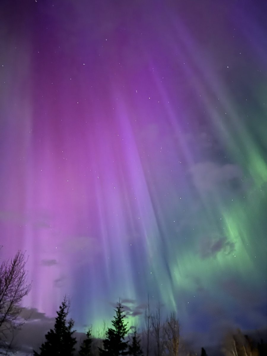 I *think* my account is back up and running, after months of not logging in or logging in but not showing ANY content. What happened with #SparkleLounge peeps while I was MIA? Highlights: we have 2 new grandbabies, bought a house, and got a new kitten (a Bengal named Nimbus).