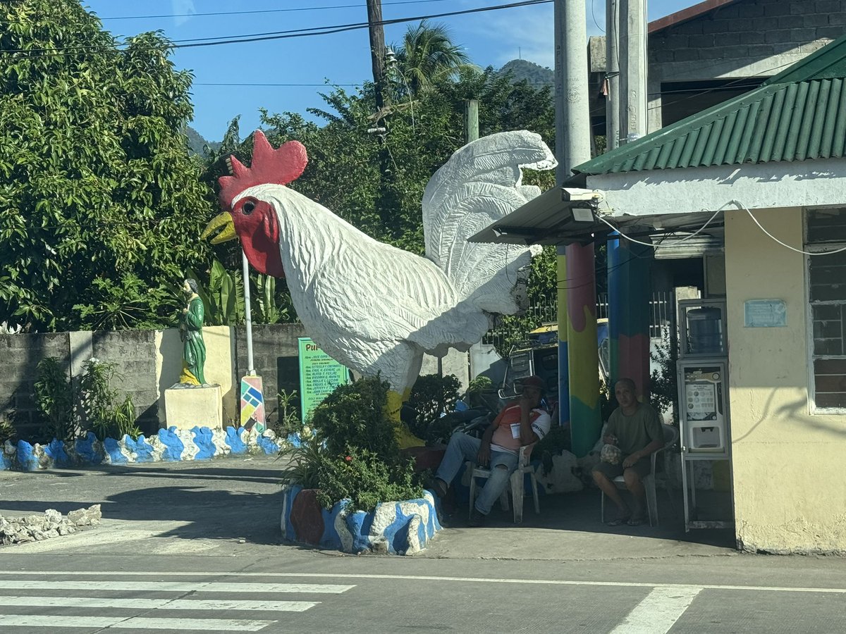 D7Cris's tweet image. shet… anlaking cock. #TravelHumor