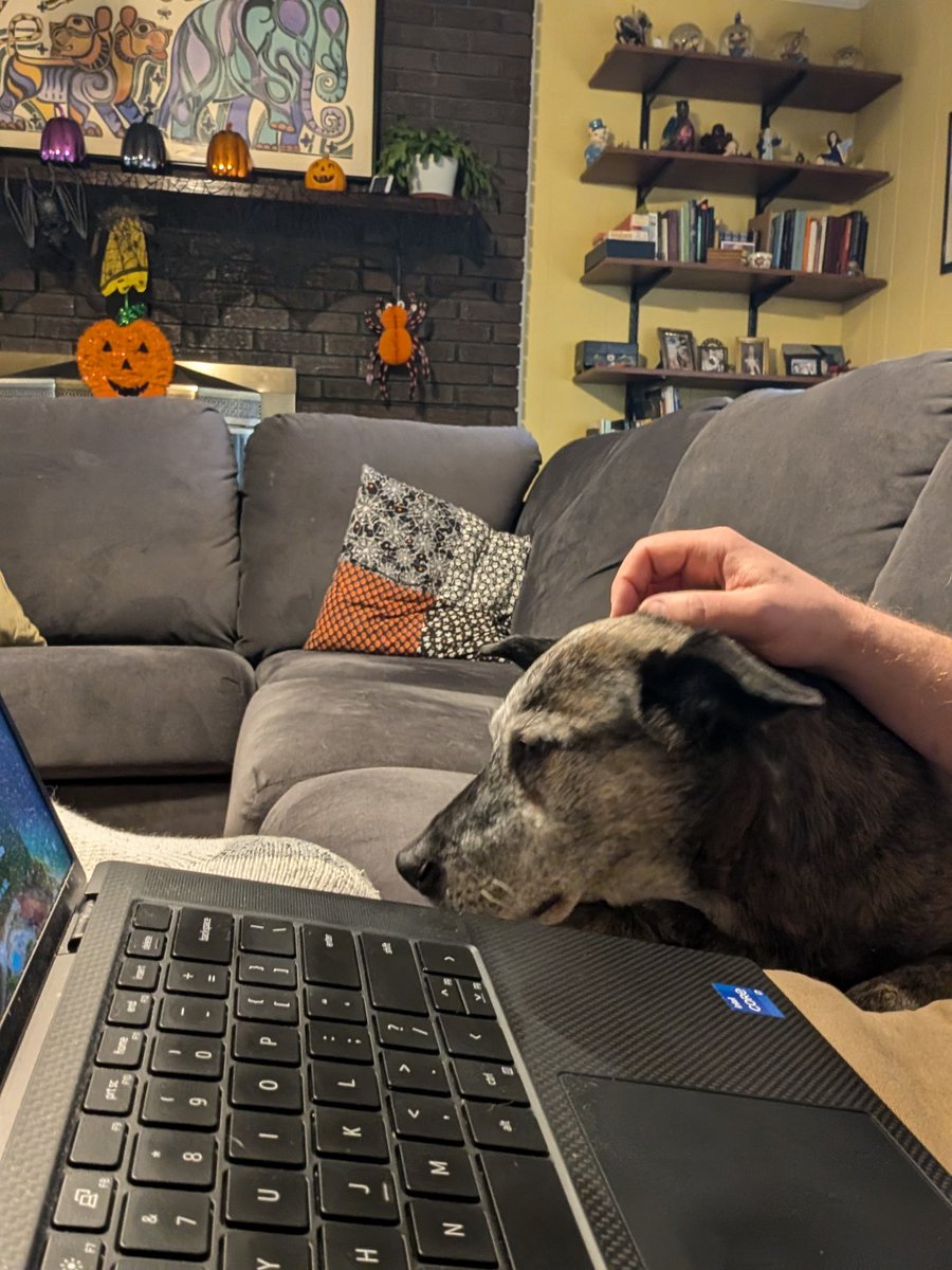 🎃The Headless Hopper 👻 tweet media