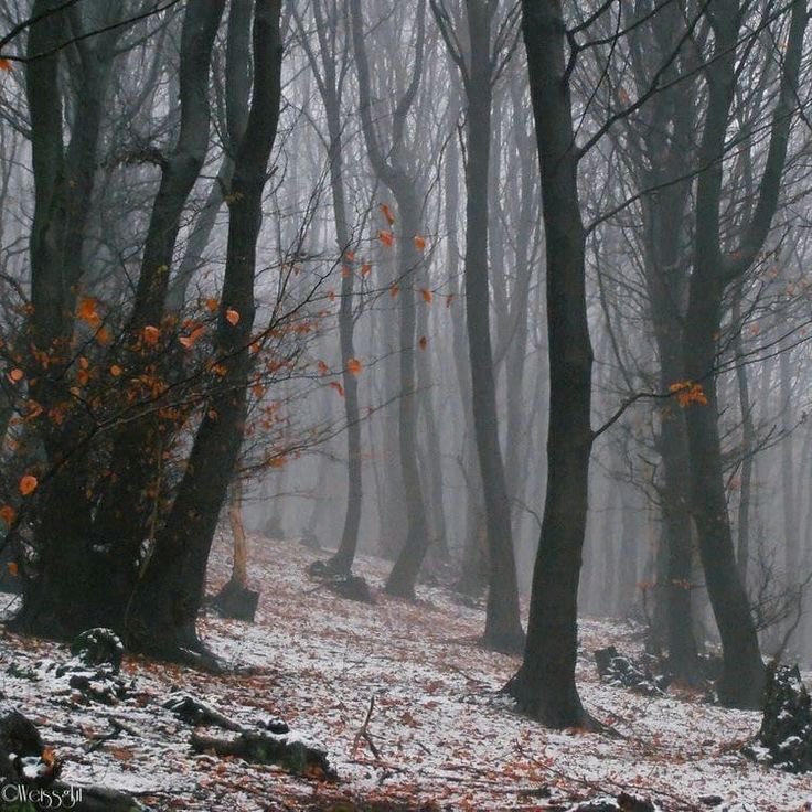 Доброе утро, солнышки✨
Желаю хорошего дня🫶🏻
И с пятницей нас)