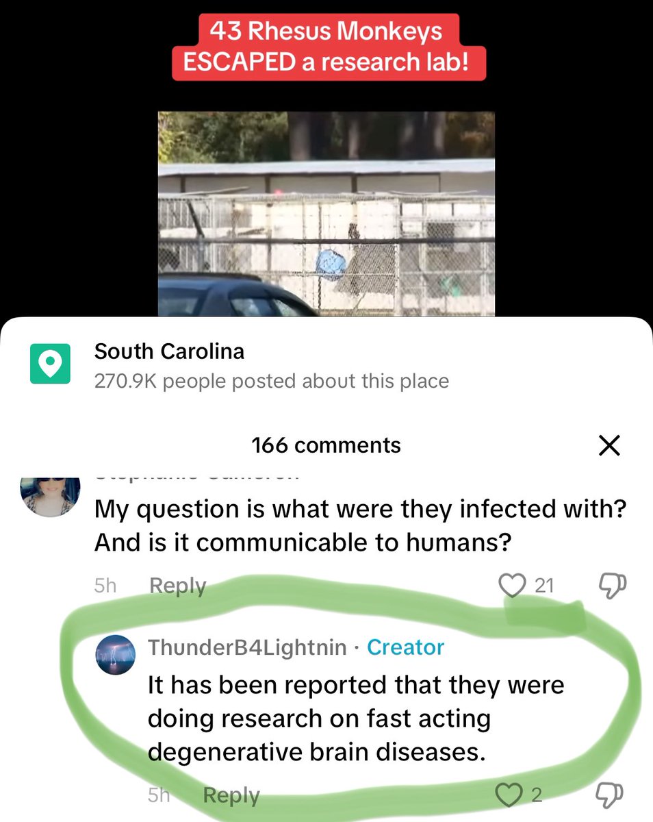 thenerdincharge's tweet photo. Uh… #AlphaGenesis #RhesusMonkey escape in #SouchCarolina on your bingo card anyone?!
Link to video in comments 👇 drop what you’ve heard if you could. https://t.co/8d3RM4E8l2