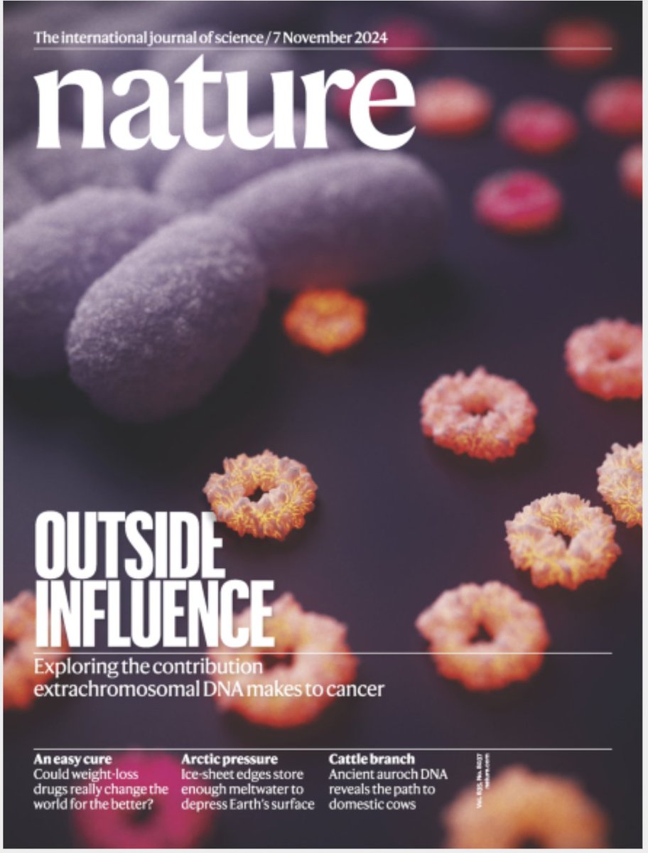 Cool to see our studies on extrachromosomal DNA featured on the cover of <a href="/Nature/">nature</a>!