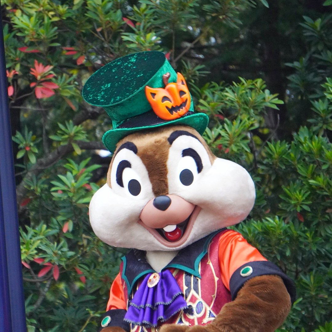 atchandisny's tweet photo. ディズニーハロウィン🎃終わっちゃったね🥲また来年✨✨フレンジーの思い出👻バッチリ目が合ったチップ😍 https://t.co/edCJu6kOAM