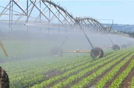 obertjiri's tweet photo. As a Ministry, irrigation development is one of our key thrusts, utilizing all the water bodies and all the resources that we have for self-sufficiency in terms of food production. https://t.co/CFXbb2CAMM