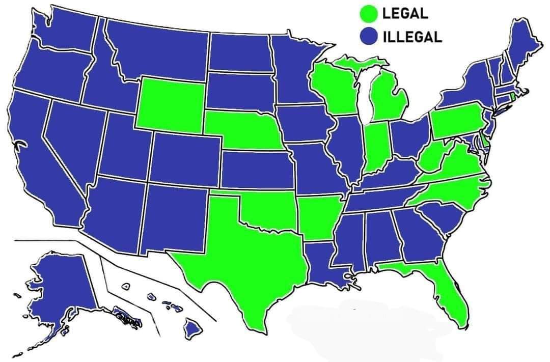 AW62477637's tweet photo. States where you can "legally" own a raccoon https://t.co/qoR1Llnf9C