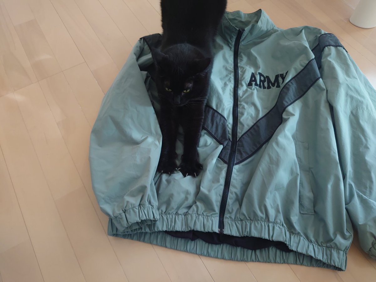 ymfresearch8739's tweet photo. お願いだから俺のIPFUジャケットの上で背伸びしないでー😿
#アメリカ軍
#ミリタリー
#IPFU
#古着
#黒猫
#ねこ
#猫かわいいね
#猫 https://t.co/lFKRuuPnWU