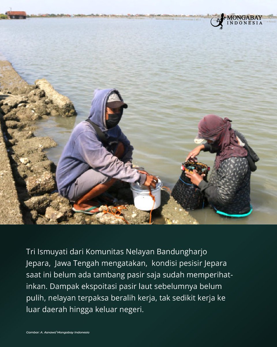 Mongabay Indonesia tweet media