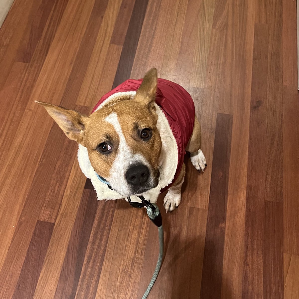 [kimerrikin] tweet media